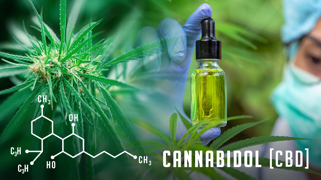 Cannabidol molecule, photo of hemp flower and hemp CBD oil